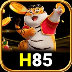 kiw69